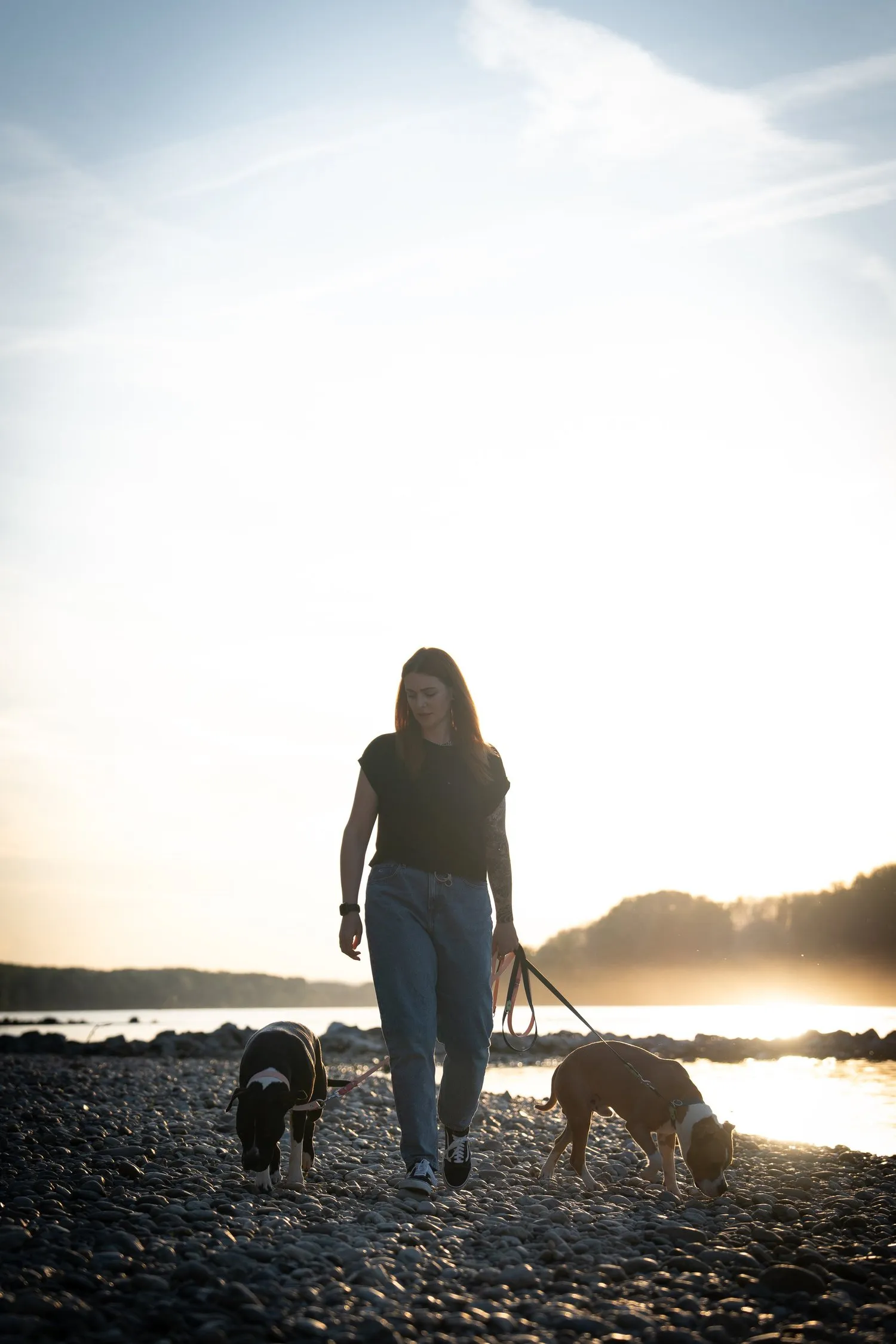 Ich gehe bei Sonnenuntergang mit meinen beiden Hunden am Fluss entlang